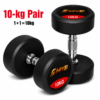 10 KG Dumbbell Pair